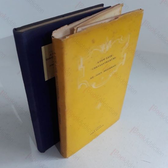 Picture of A Few Late Chrysanthemums