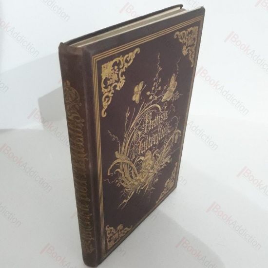 Picture of The Genera and Species of British Butterflies, Described and Arranged According to the System Now Adopted in the British Museum