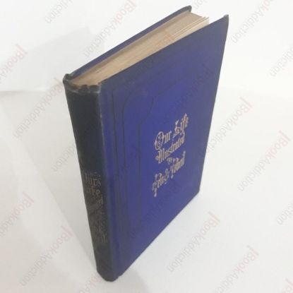 Picture of Our Life, Illustrated by Pen and Pencil