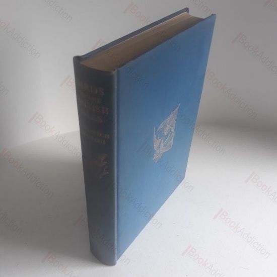 Picture of Birds of the British Isles