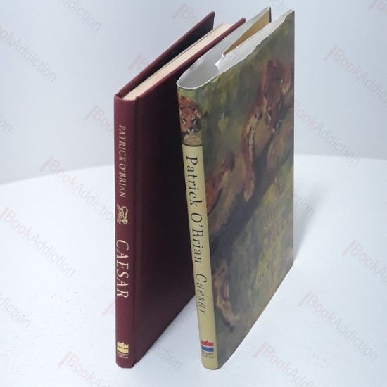 Picture of Caesar : The Life Story of a Panda Leopard