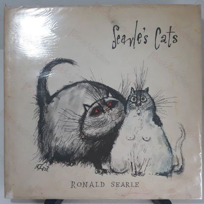 Picture of Searle's cats