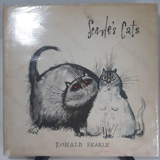 Picture of Searle's cats