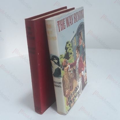 Picture of The Way Beyond