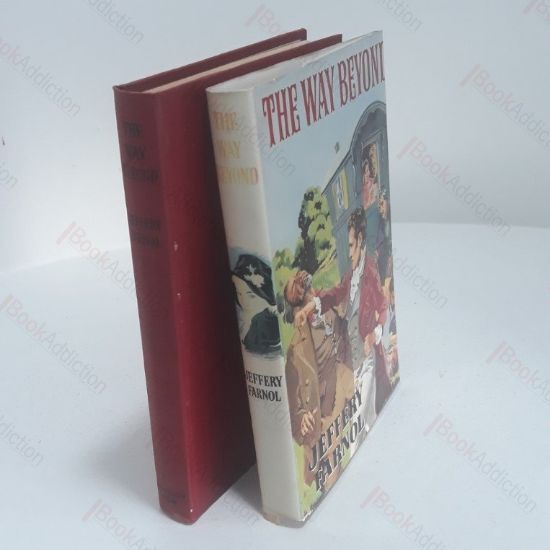 Picture of The Way Beyond