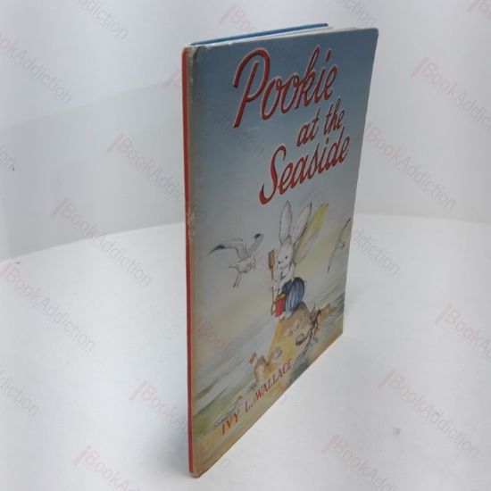 Picture of Pookie at the Seaside