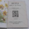 Picture of Bees : Shown to the Children
