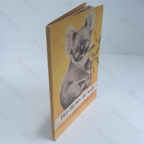 Picture of Two-Thumbs the Koala