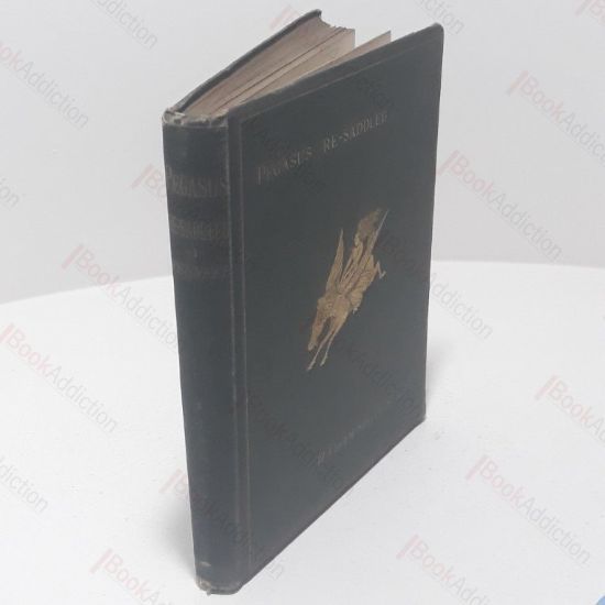 Picture of Pegasus Re-Saddled