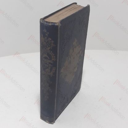 Picture of Wanderings Among the Wild Flowers : How to See and How to Gather Them