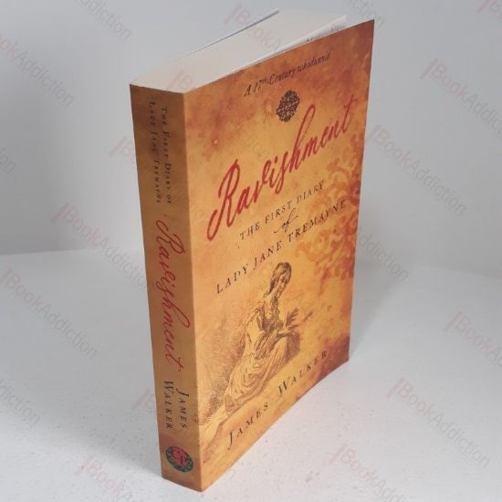 Picture of Ravishment : The First Diary of Lady Jane Tremaynen (A 17th Century Whodunnit)