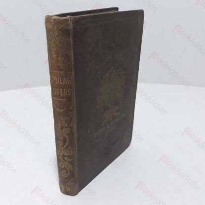 Picture of Popular Flowers : Their Propagation, Cultivation, and General Treatment in all Seasons with List of Choice and Favourite Varieties (Second Series)