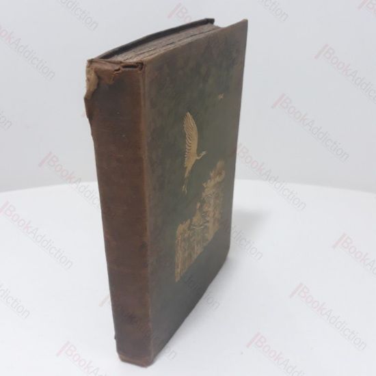 Picture of Ornithological Rambles in Sussex; with a Systematic Catalogue of the Birds of that County, and Remarks on Their Local Distribution