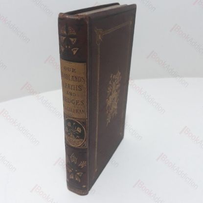 Picture of Our Woodlands, Heaths and Hedges : A Popular Description of Trees, Shrubs, Wild Fruits, etc, with Notices of Their Insect Inhabitants