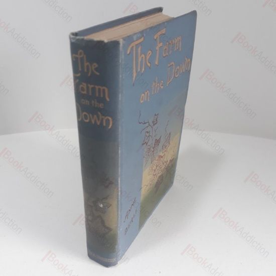 Picture of The Farm on the Down and Old Gwen