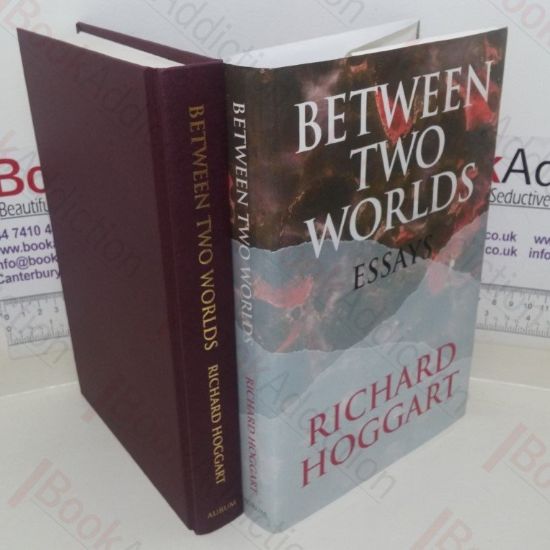 Picture of Norman Bones Detective