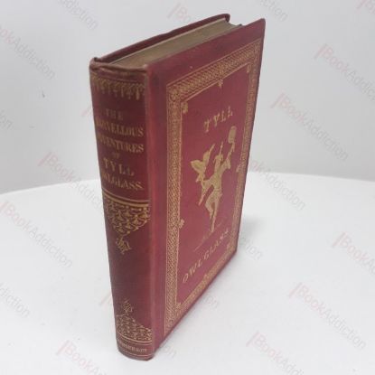 Picture of The Marvellous Adventures and Rare Conceits of Master Tyll Owlglass