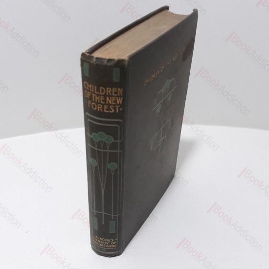 Picture of The Children of the New Forest