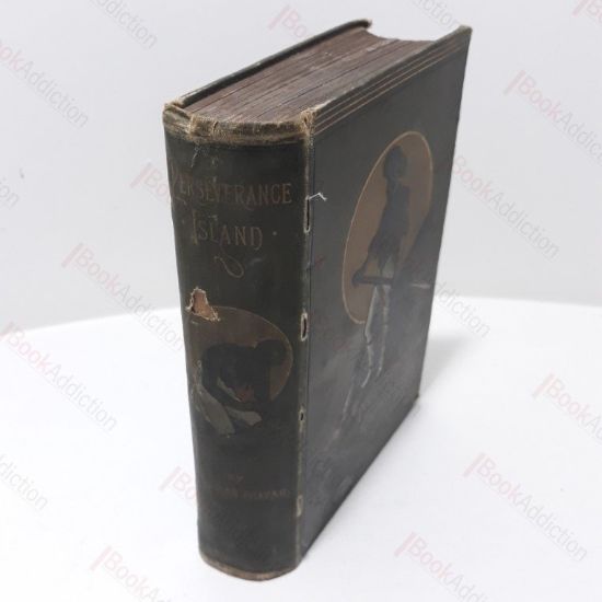 Picture of Perseverance Island, or the Robinson Crusoe of the Nineteenth Century