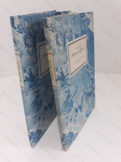 Picture of Romney Marsh (King Penguin)