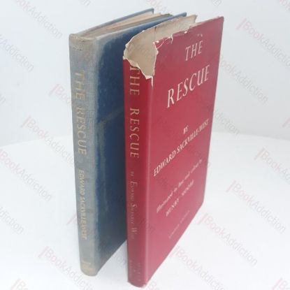 Picture of The Rescue