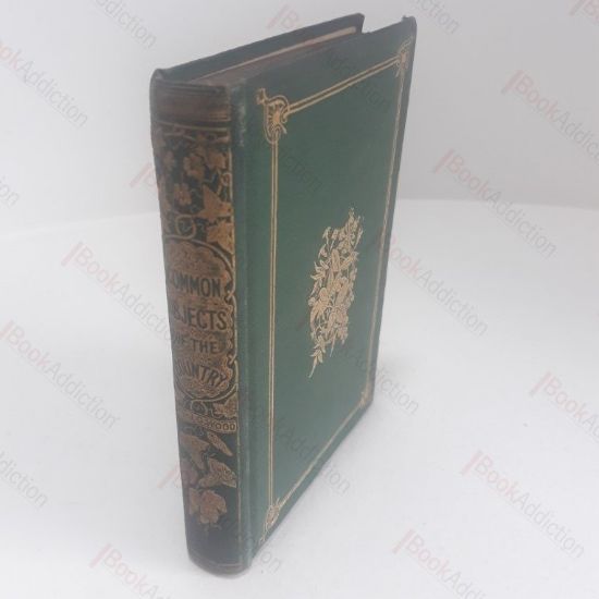 Picture of Common Objects of the Country