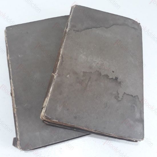 Picture of Paradise Lost, Books 1 to 12 (2 Volumes)