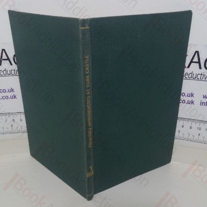 Picture of Information and Observations, Respecting the Proposed Improvements at York Castle