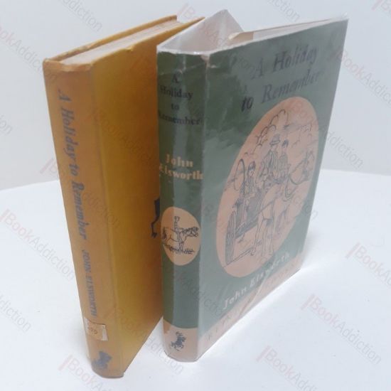 Picture of A Holiday to Remember