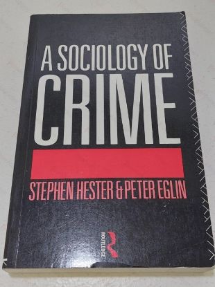 Picture of A Sociology of Crime