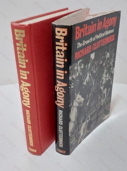 Picture of Britain in Agony : The Growth of Political Violence