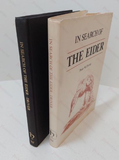 Picture of In Search of the Eider