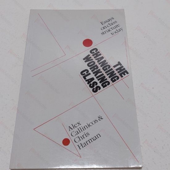 Picture of The Changing Working Class : Essays on Class Structure Today