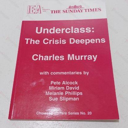 Picture of Underclass : The Crisis Deepens (Choice in Welfare Series, No. 20)