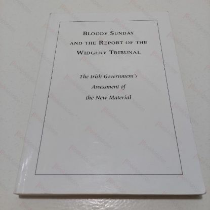 Picture of Bloody Sunday and the Report of the Widgery Tribunal: The Irish Government's Assessment of the New Material (Presented to the British Government in June 1997)