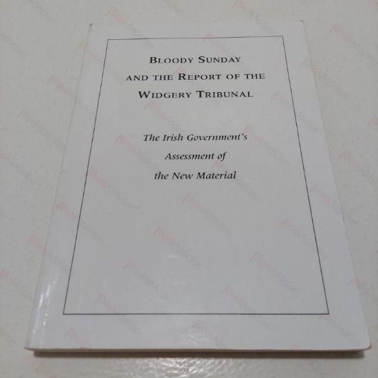 Picture of Bloody Sunday and the Report of the Widgery Tribunal: The Irish Government's Assessment of the New Material (Presented to the British Government in June 1997)