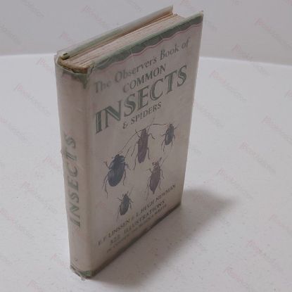 Picture of The Observer's Book of Common Insects and Spiders (Observer's Pocket Series.)