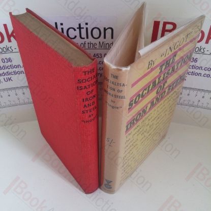 Picture of The Socialisation of Iron and Steel