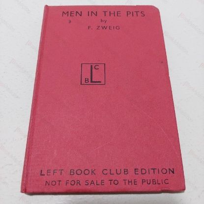 Picture of The Scope of Government : Beliefs in Government