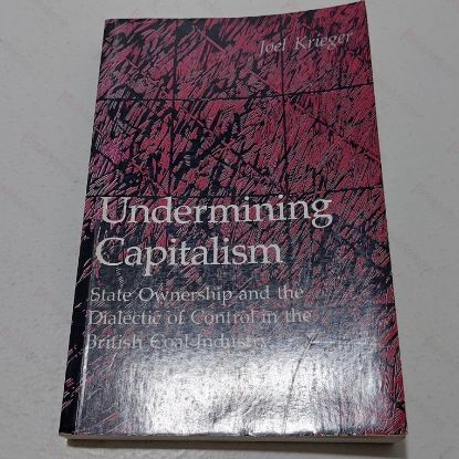 Picture of Undermining Capitalism : State Ownership and the Dialectic of Control in the British Coal Industry