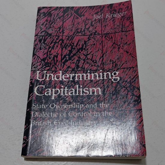 Picture of Undermining Capitalism : State Ownership and the Dialectic of Control in the British Coal Industry