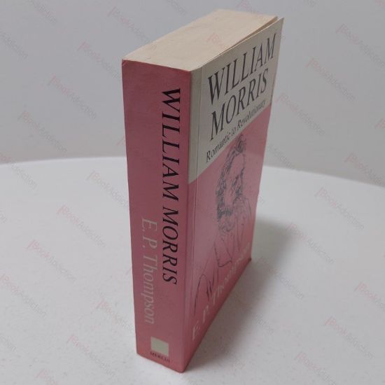 Picture of William Morris, From Romantic to Revolutionary