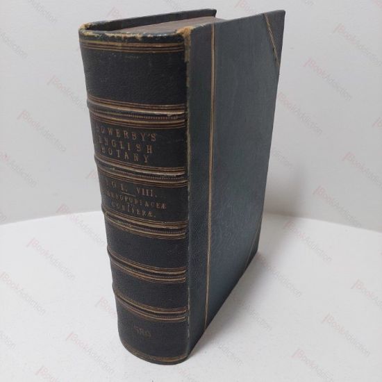 Picture of English Botany, Or Coloured Figures of British Plants [Sowerby's English Botany, Volume VIII, Chenopodiaceae to Coniferae]