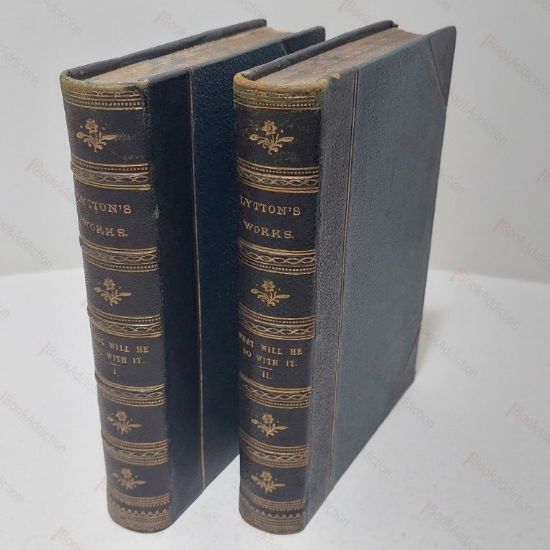 Picture of What Will He Do With It? (2 volumes) (Knebworth Edition)