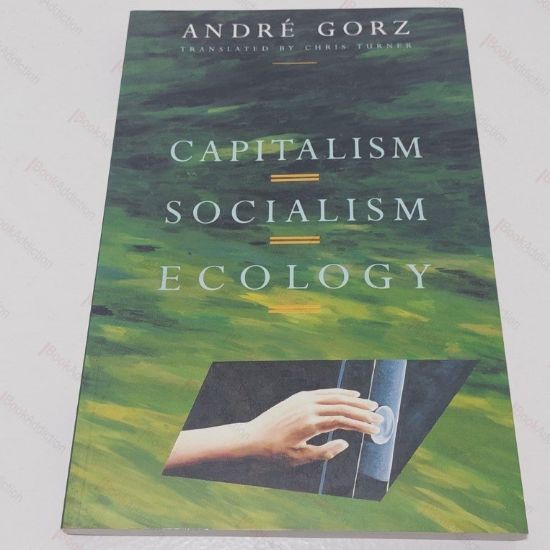 Picture of Globalization : Theory and Practice