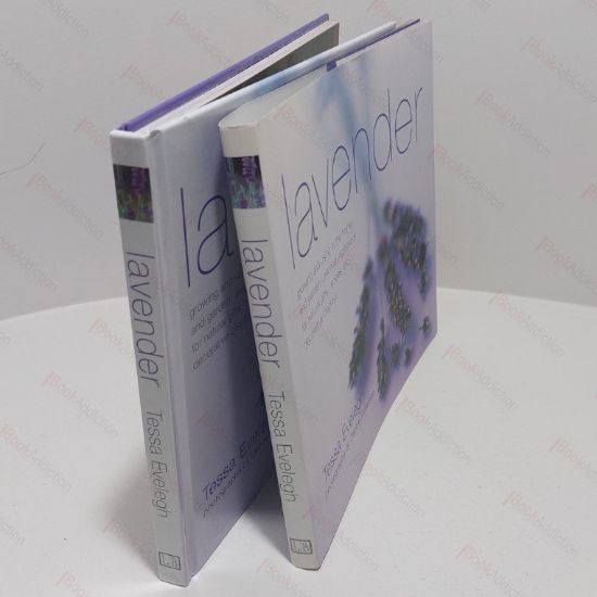 Picture of Lavendar: Growing And Using In The Home And Garden, Practical Inspirations For Natural Gifts, Recipes And Decorative Displays