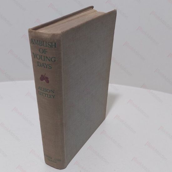 Picture of Ambush of Young Days