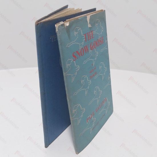 Picture of The Snow Goose