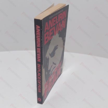 Picture of In Place of Fear