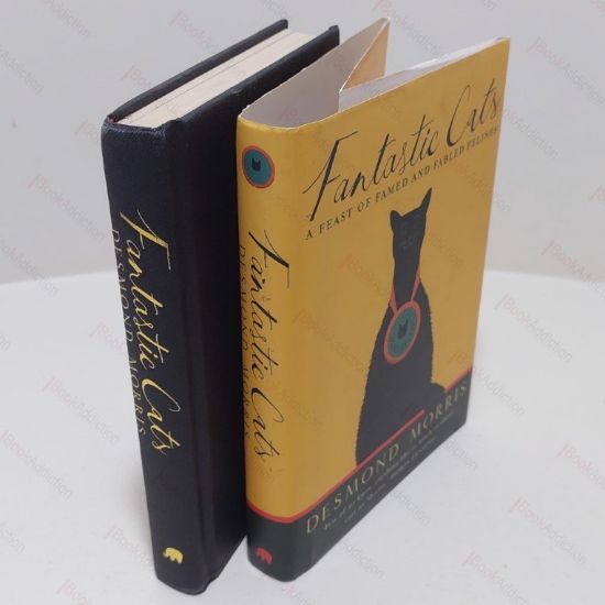 Picture of Fantastic Cats: A Feast of Famed and Fabled Felines